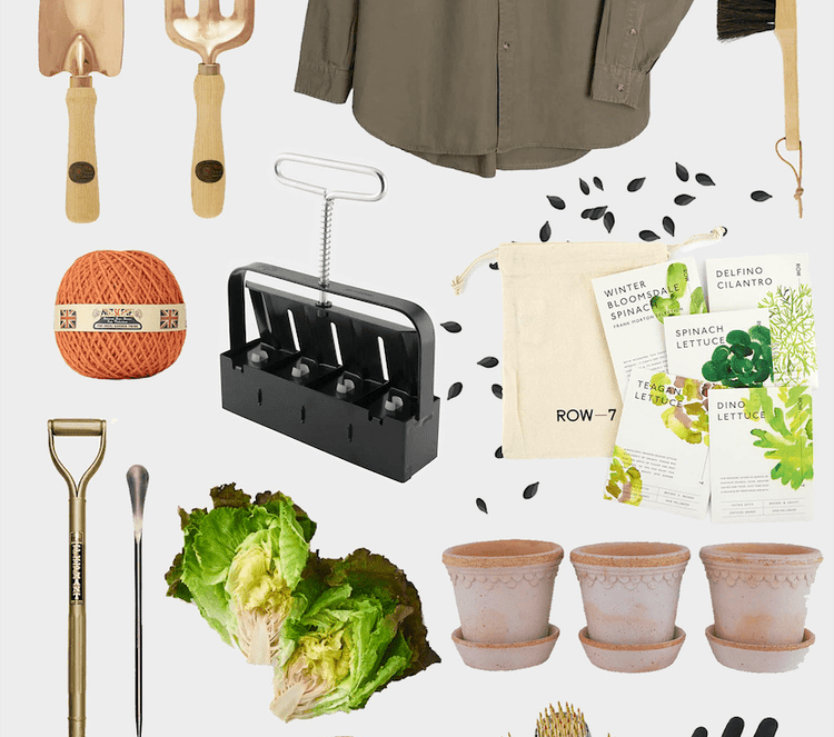 Seed Starting & Potting