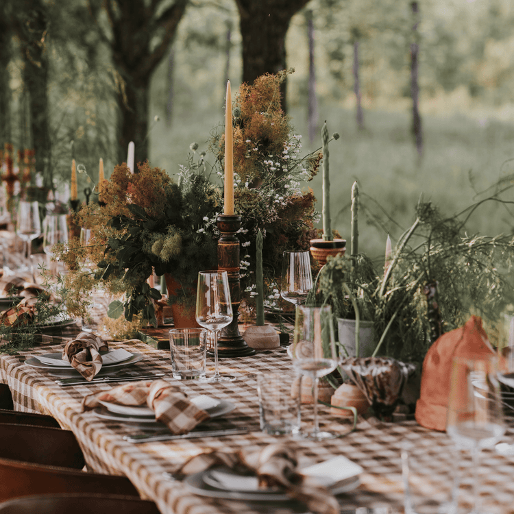 Dinner, Outside