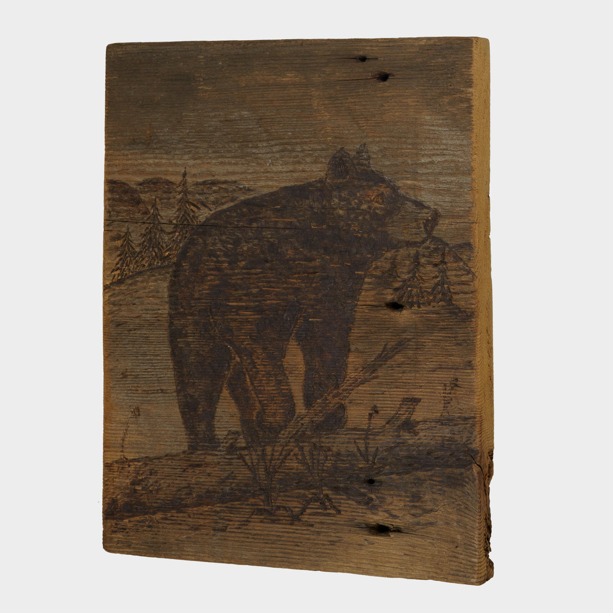 Antique Wood Burned Panel of Bear