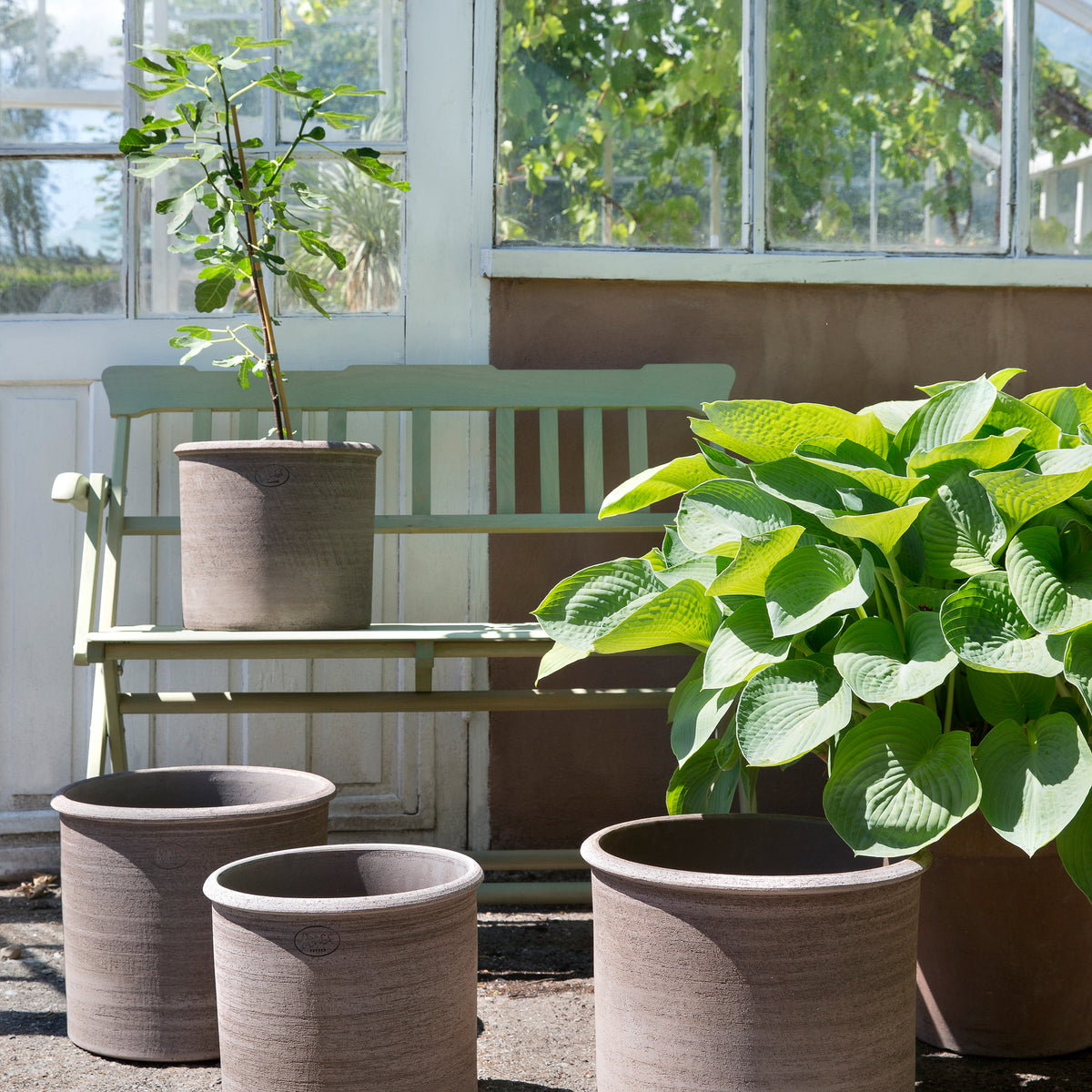 Bergs Modena Pot