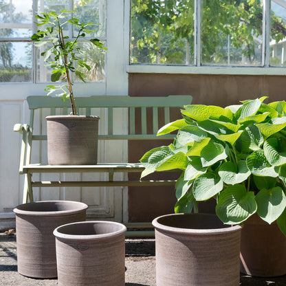 Bergs Modena Pot