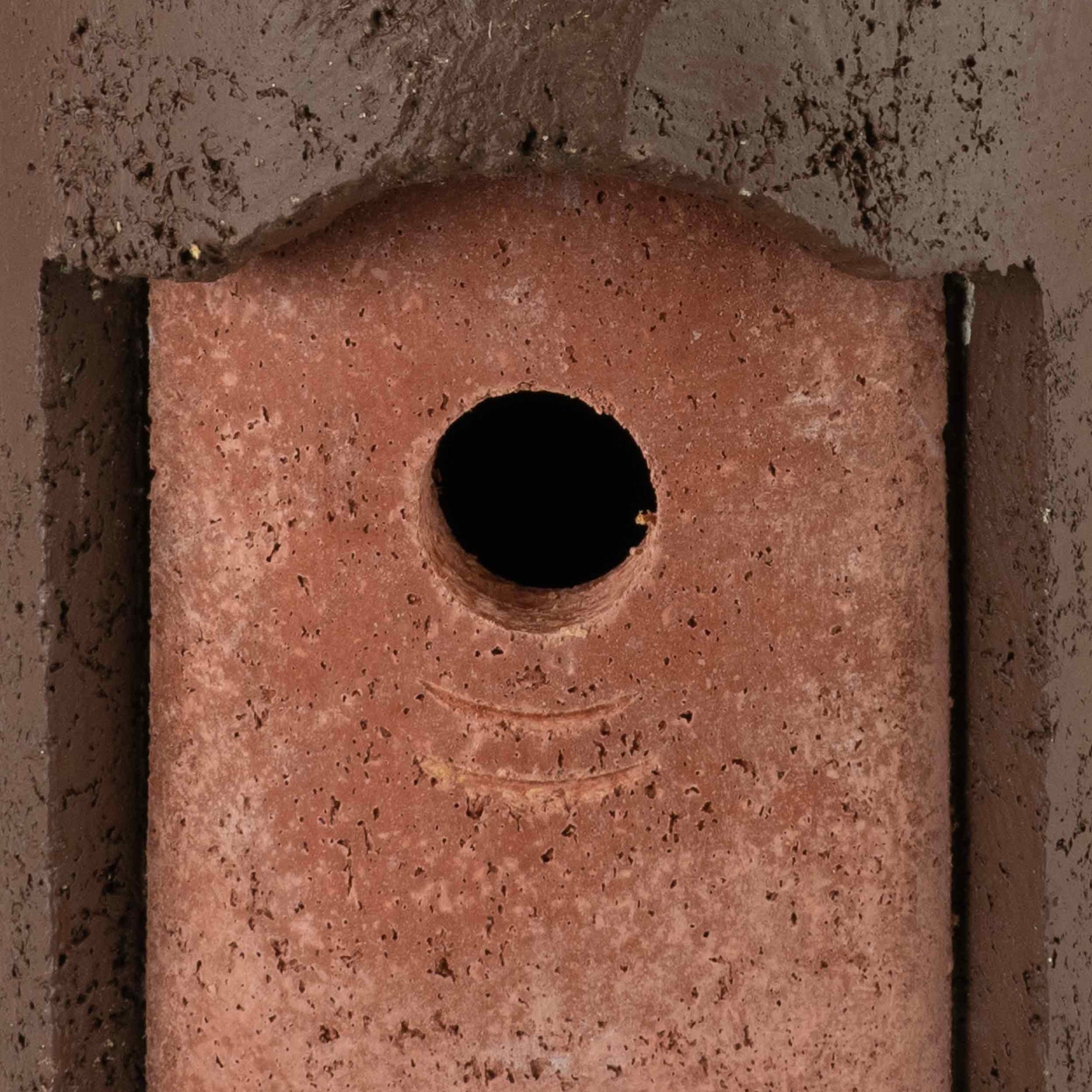 Brutalist Birdhouse- Suspended Cone- 1" Entrance