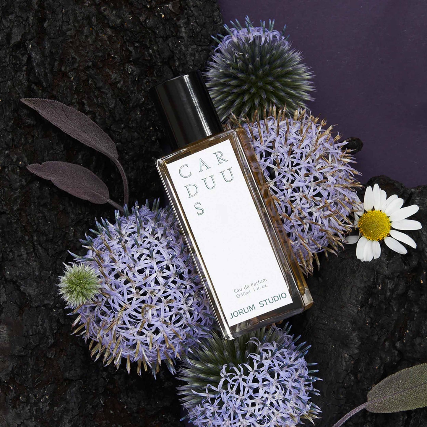 Jorum Carduus Eau de Parfum