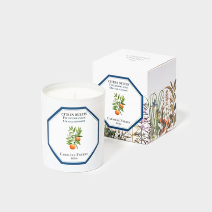Carrière Frères Citrus Dulcis Candle (Orange Blossom)