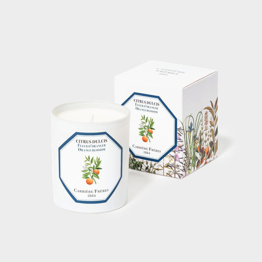 Carrière Frères Citrus Dulcis Candle (Orange Blossom)