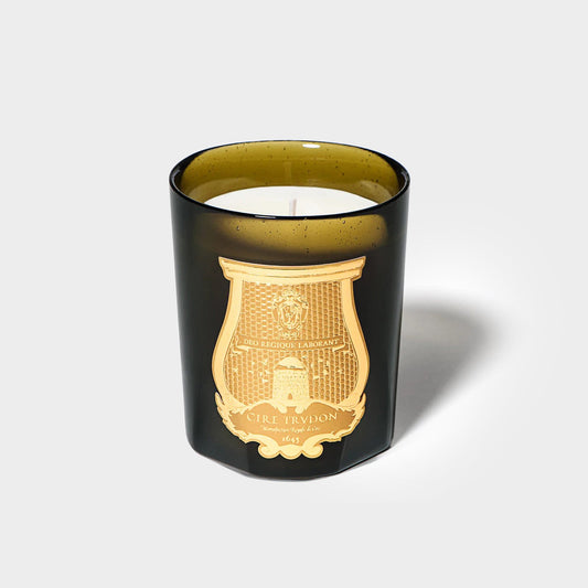 Trudon Gabriel Candle (Gourmand Chimney fire)