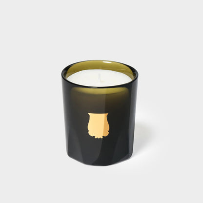 Trudon Gabriel Candle (Gourmand Chimney fire)