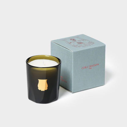 Trudon Gabriel Candle (Gourmand Chimney fire)