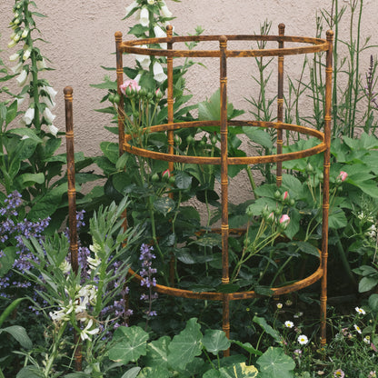 Pavilion Plant Support