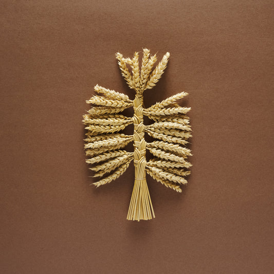 French Braid Corn Dolly