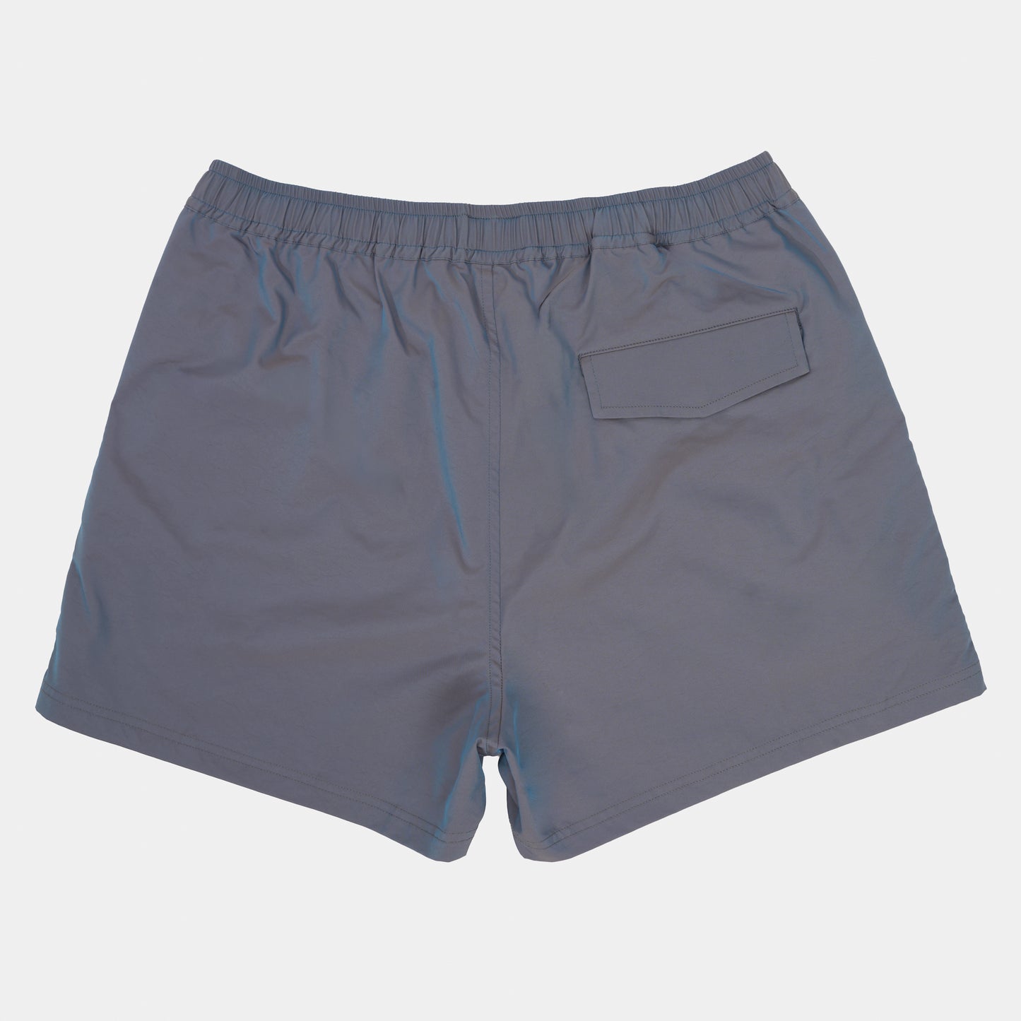 Iridescent Sport Short in Dragonfly