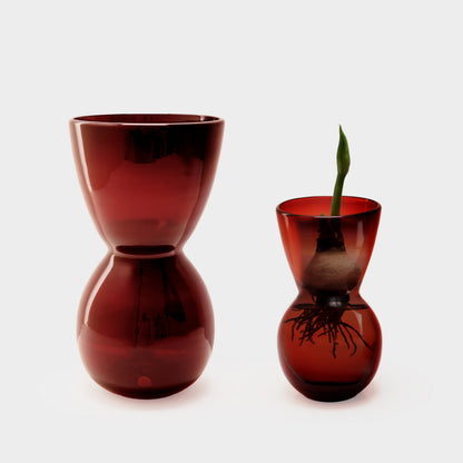 Mouth Blown Amaryllis Bulb Forcing Vase