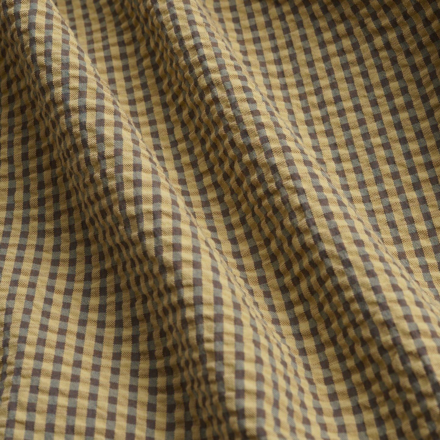 Gingham Seersucker Relaxed Short in Green Field Check