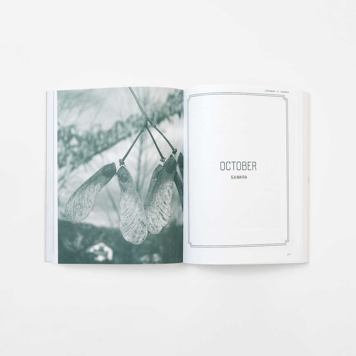 Farmer’s Almanac Vol. 7: Premonition
