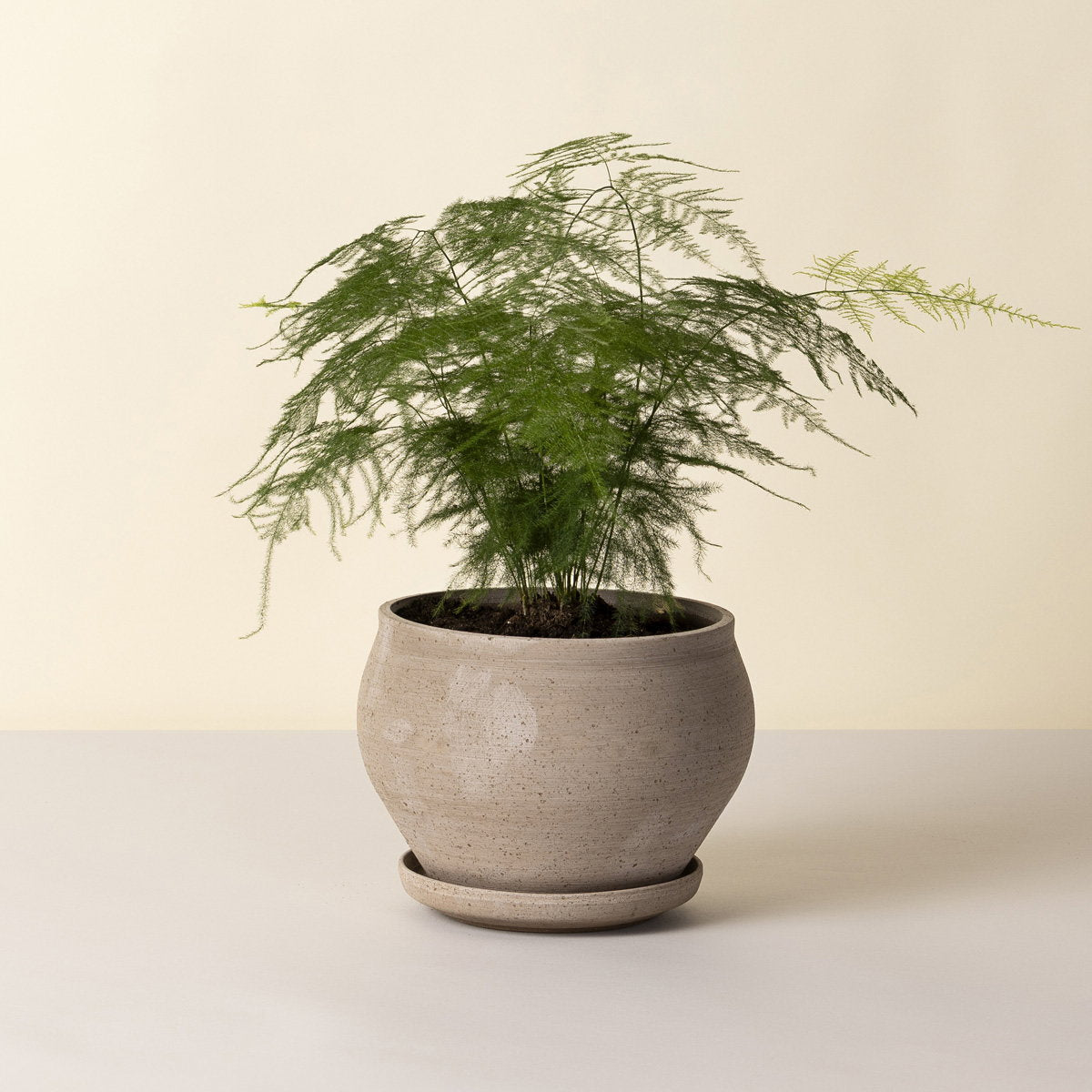 Bergs Delphi Pot