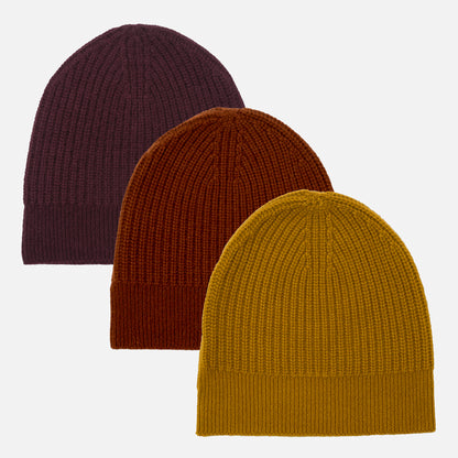 Himalayan Cashmere Fisherman Ribbed Beanie — Land Palette