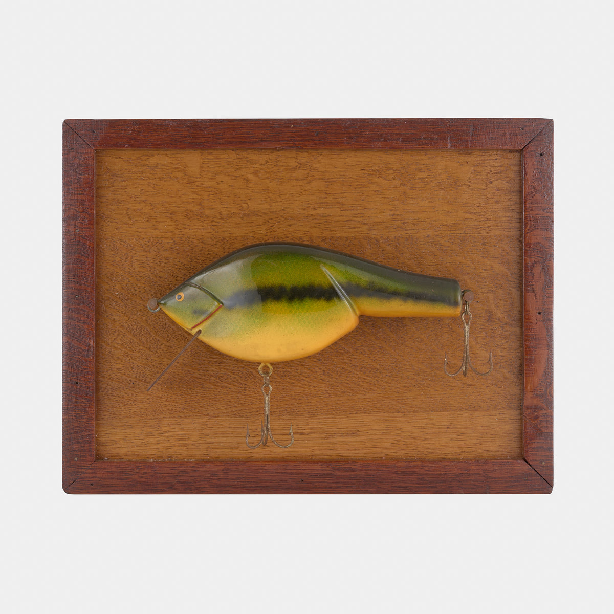 Vintage Large Carved Fish Lure Display