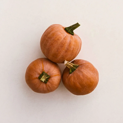 Row 7 Organic Squash Trio