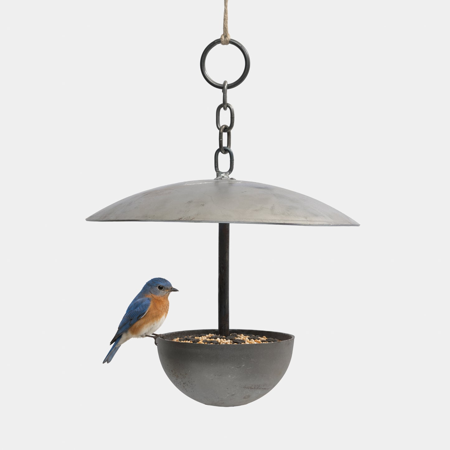 English Metal Hanging Bird Feeder
