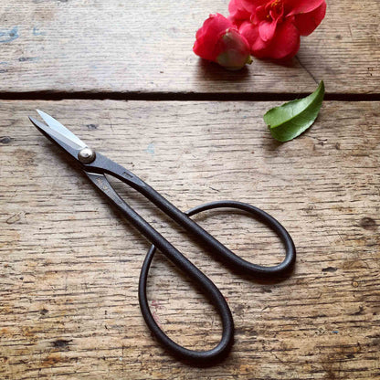 Kaneshin Japanese Bonsai Trimming Scissors