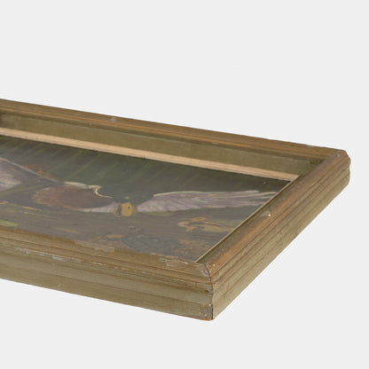 Vintage Painting of Pond Scene with Ducks and Turtle