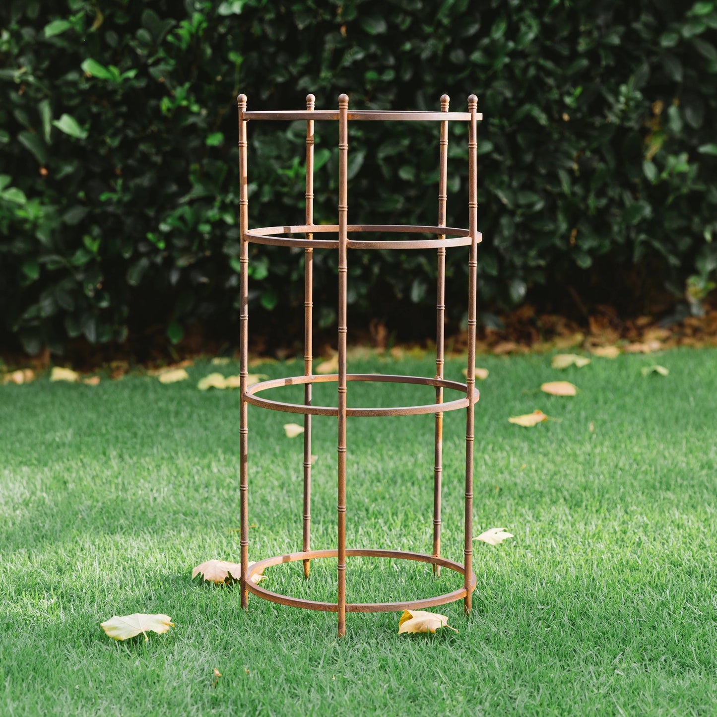 Pavilion Plant Support