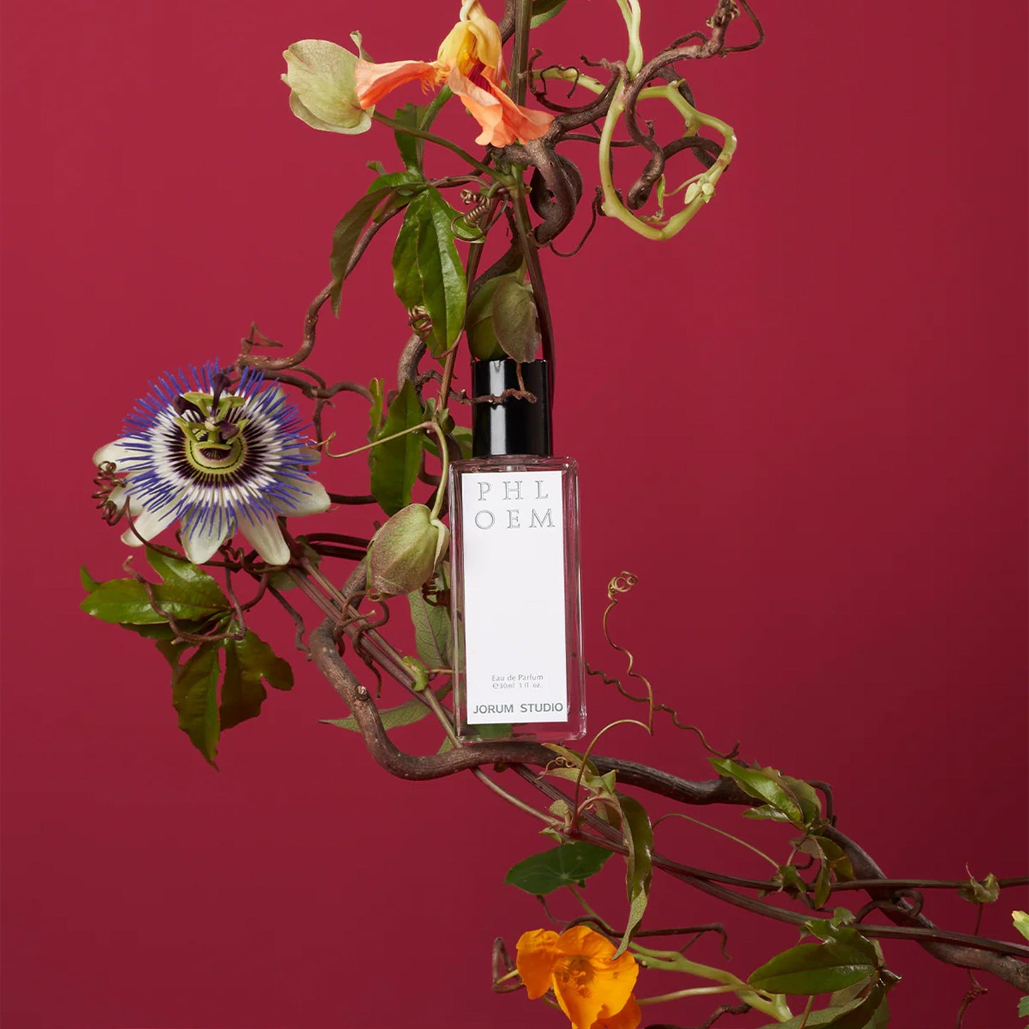 Jorum Phloem Eau de Parfum