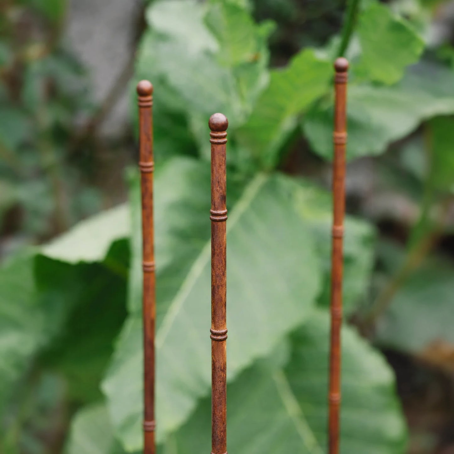Pavilion Plant Stake (Set of 3)