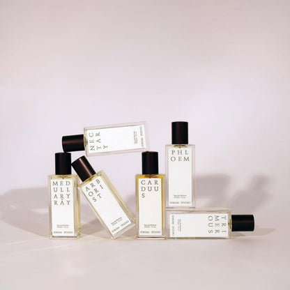 Jorum Nectary Eau de Parfum