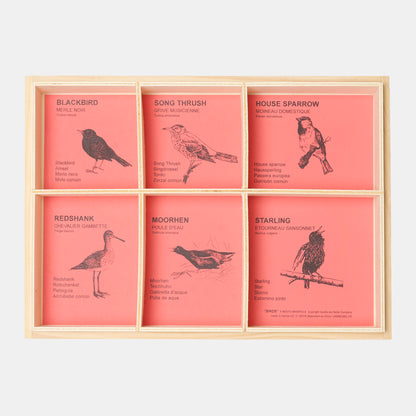 Handmade Wooden Bird Calls - Hand Operated set of 6