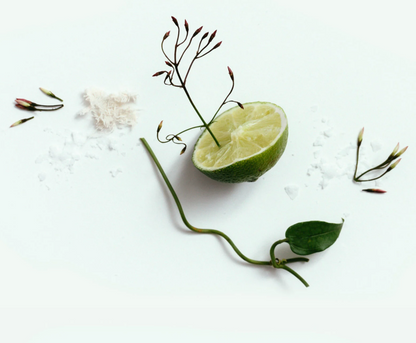 Corpus Natural Deodorant Stick