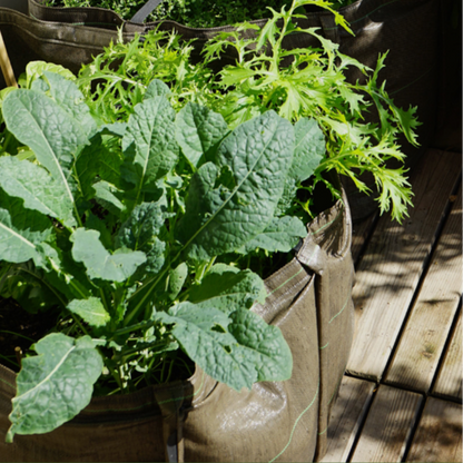 French Geotextile Portable Planter-Square