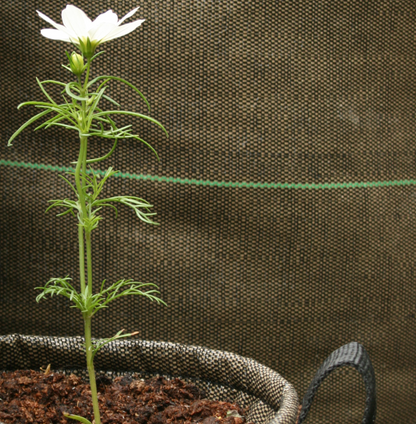 French Geotextile Portable Planter-Square