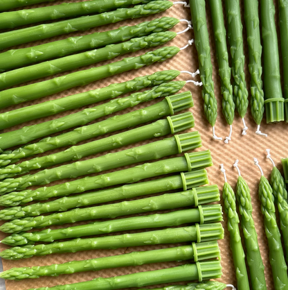 Asparagus Taper Candles