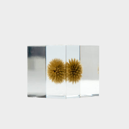 Japanese Botanical Paperweights