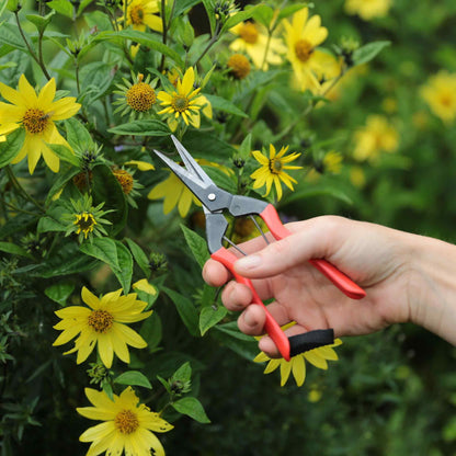 Niwaki Garden Snips