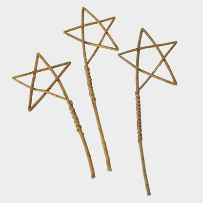 Handmade Willow Star Wand
